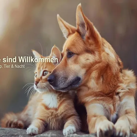 Boutique Schwarzer Baer Wittenberg