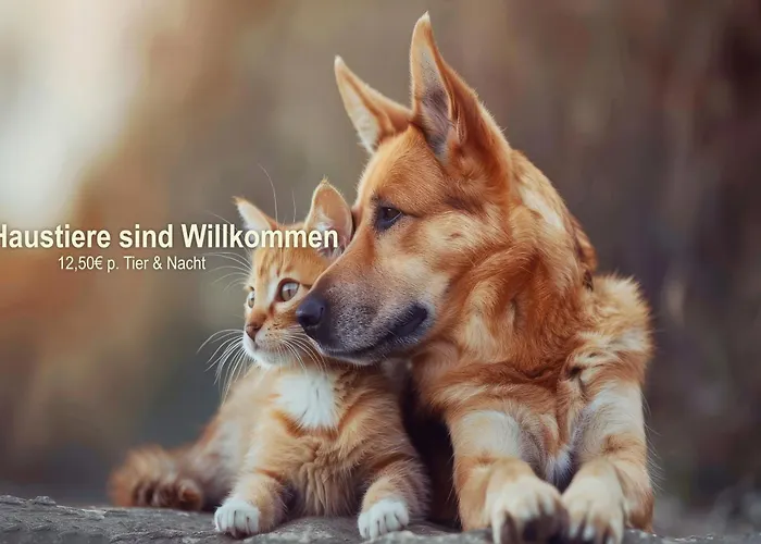 Boutique Schwarzer Baer Wittenberg